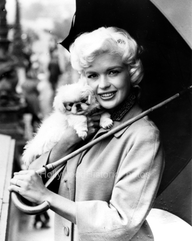 Jayne Mansfield 1958 With her little pooch wm.jpg